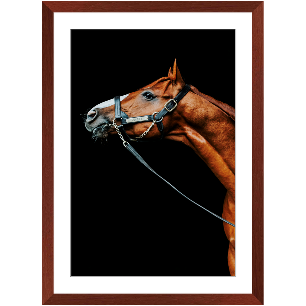 Justify Series 4, Framed Print