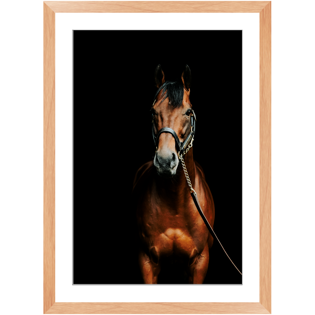 American Pharoah Series 4, Framed Print