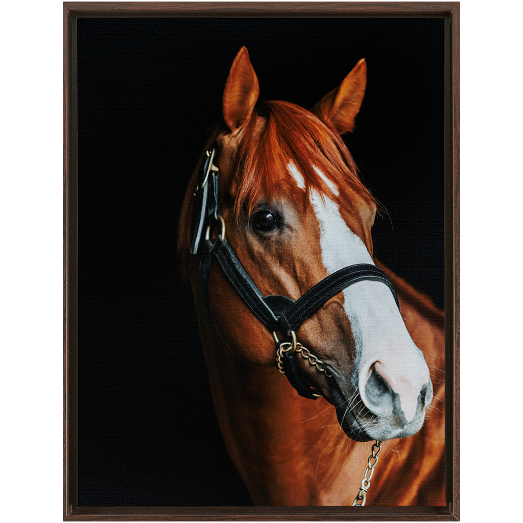 Justify Series 2, Framed Canvas