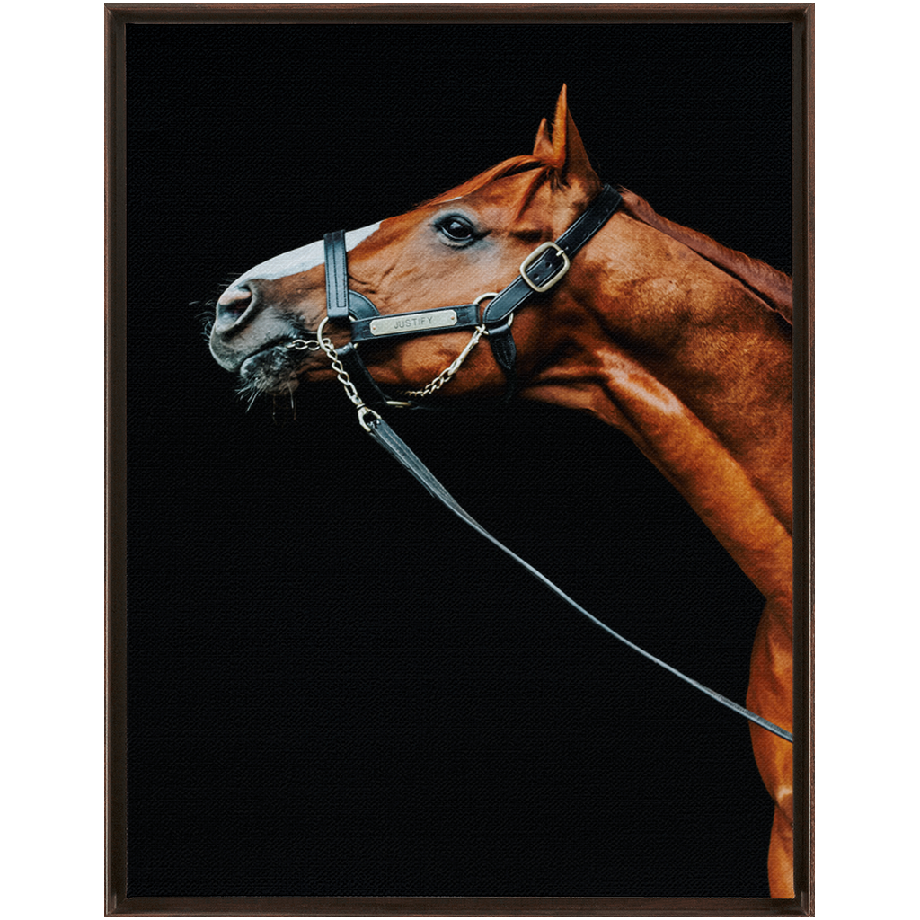 Justify Series 4, Framed Canvas