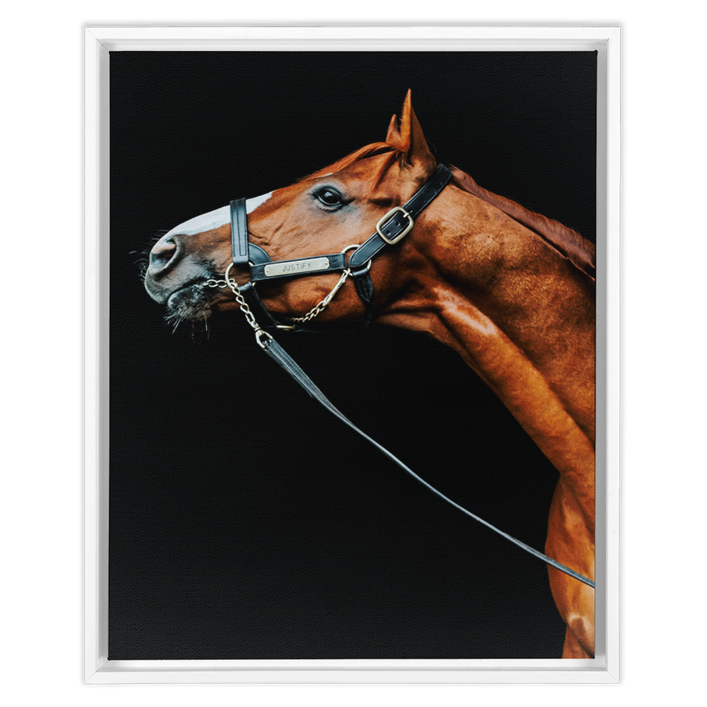 Justify Series 4, Framed Canvas