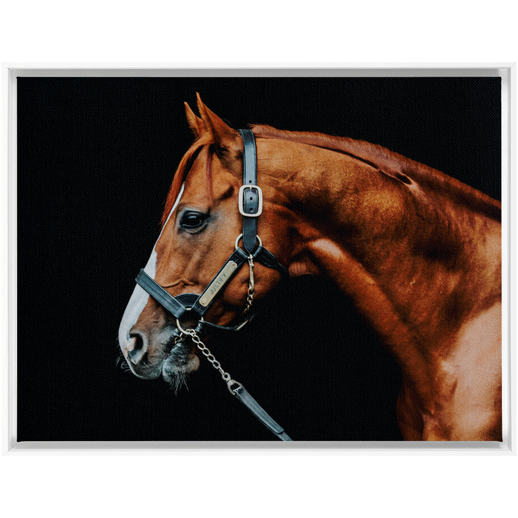 Justify Series 3, Framed Canvas