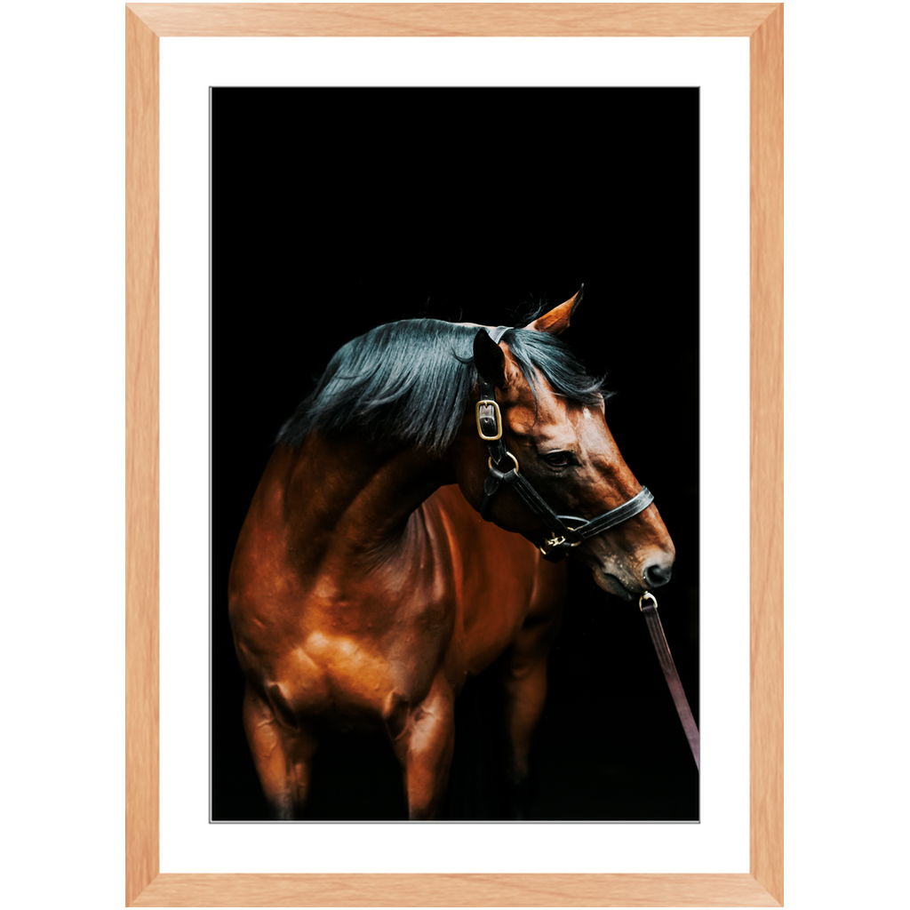 American Pharoah Series 3, Framed Print