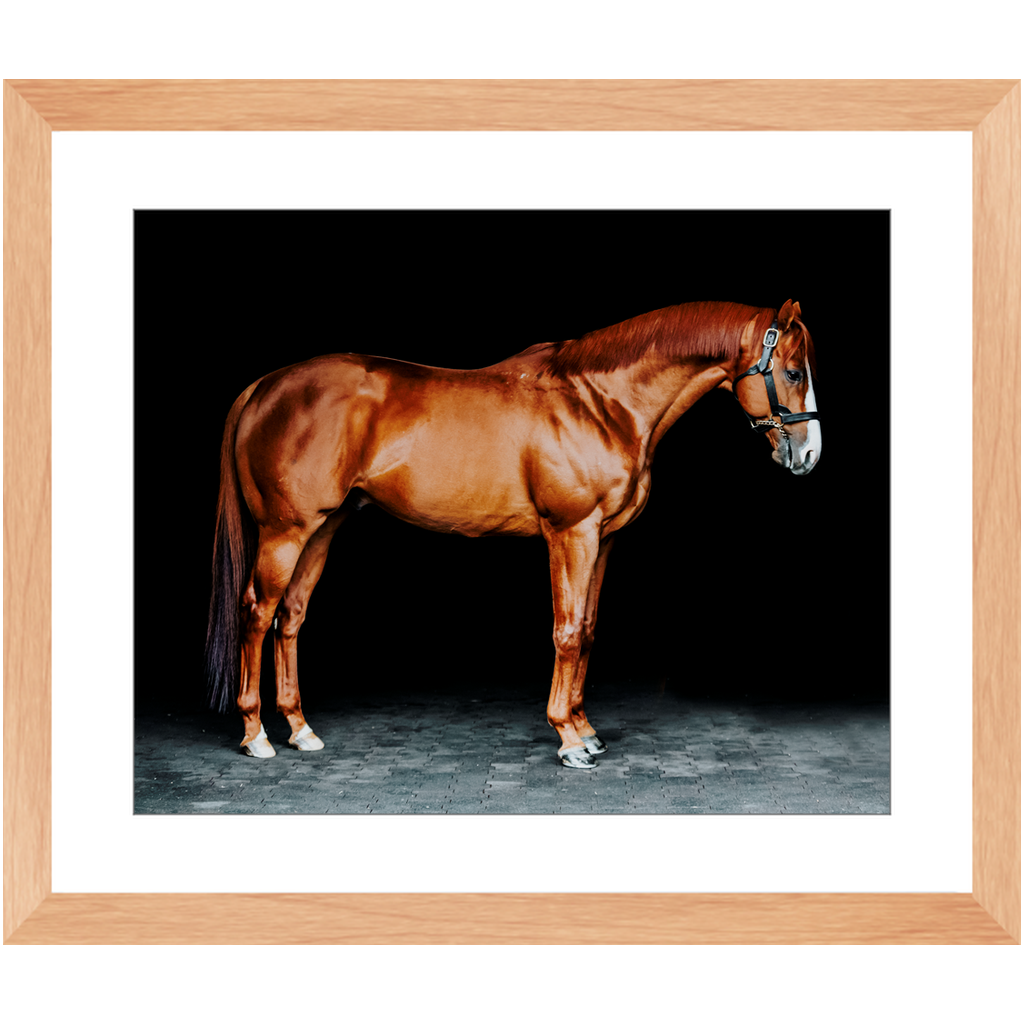 Justify Series 6, Framed Print