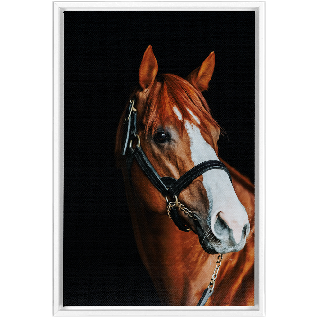 Justify Series 2, Framed Canvas