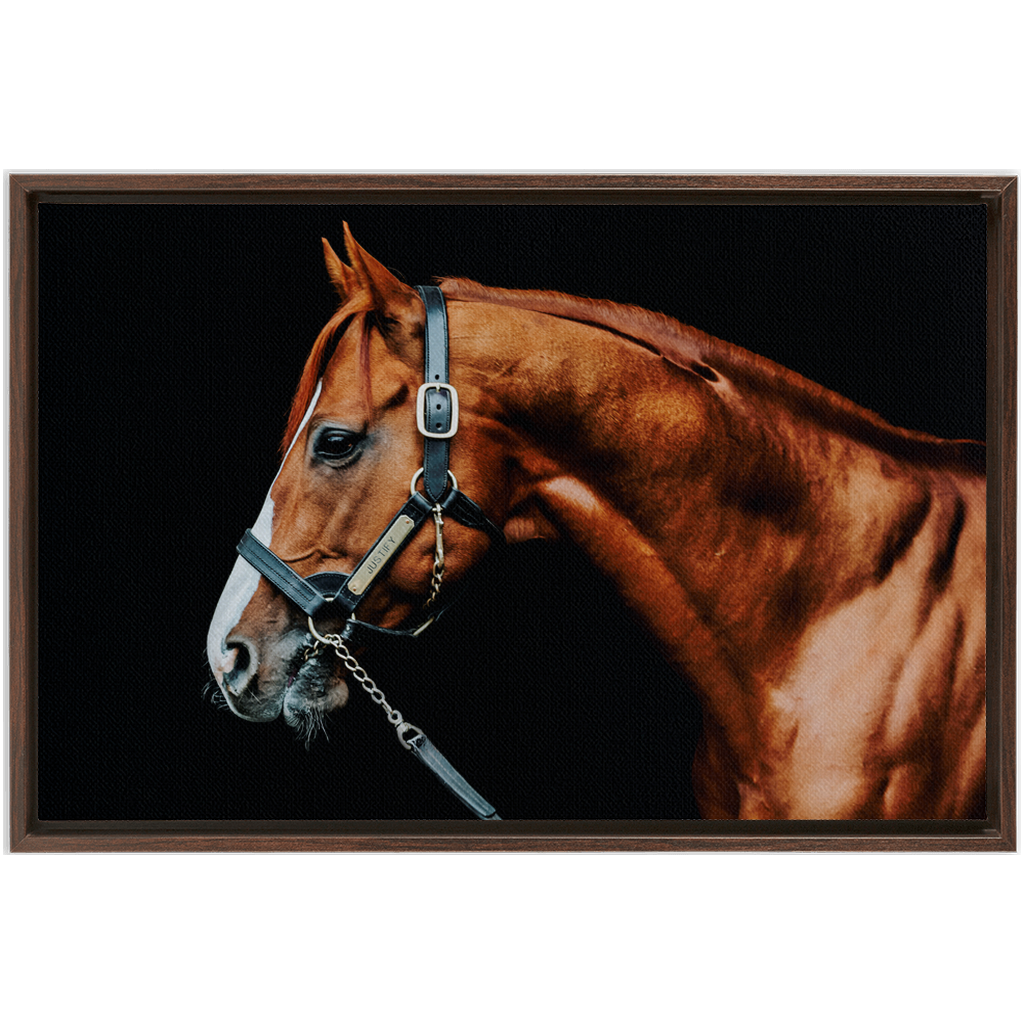 Justify Series 3, Framed Canvas