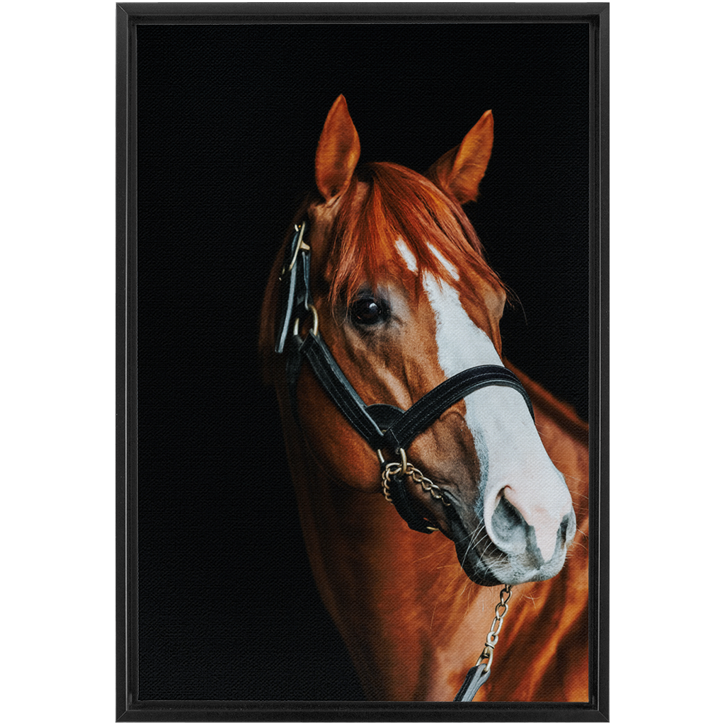 Justify Series 2, Framed Canvas