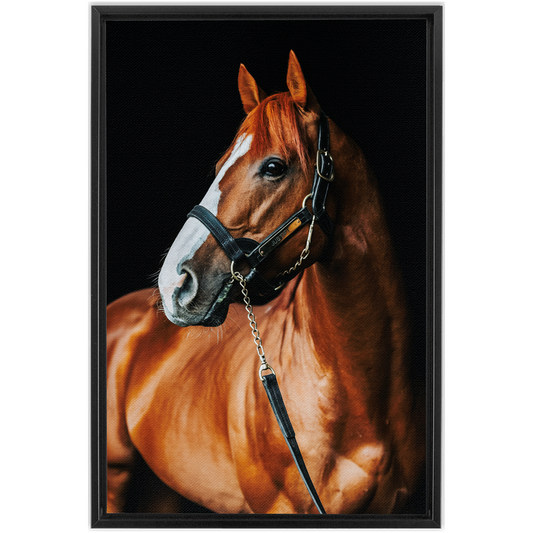 Justify Series 1, Framed Canvas