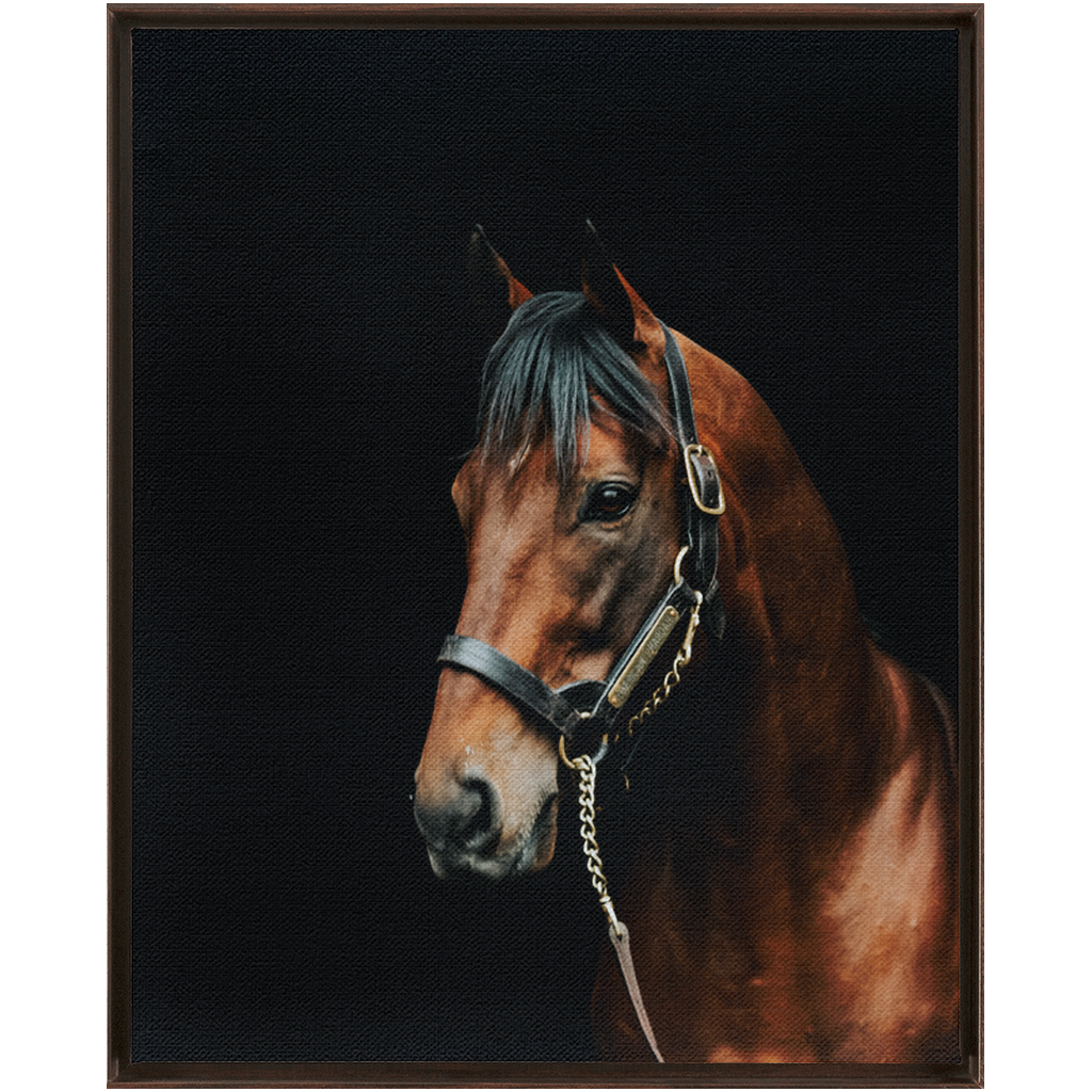 American Pharoah Series 2, Framed Canvas