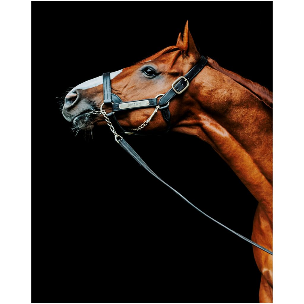 Justify Series 4, Print