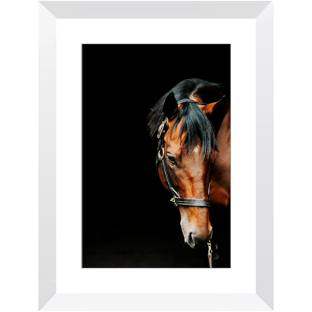 American Pharoah Series 6, Framed Print