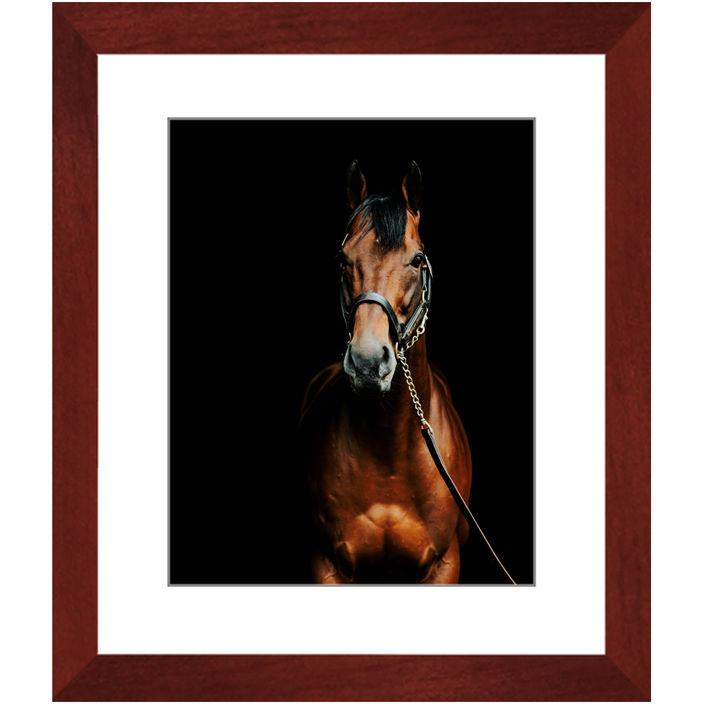 American Pharoah Series 4, Framed Print