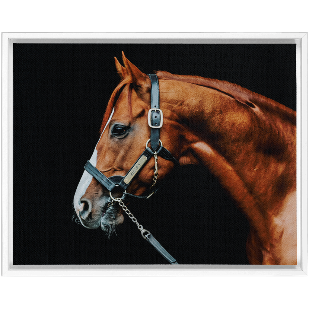 Justify Series 3, Framed Canvas