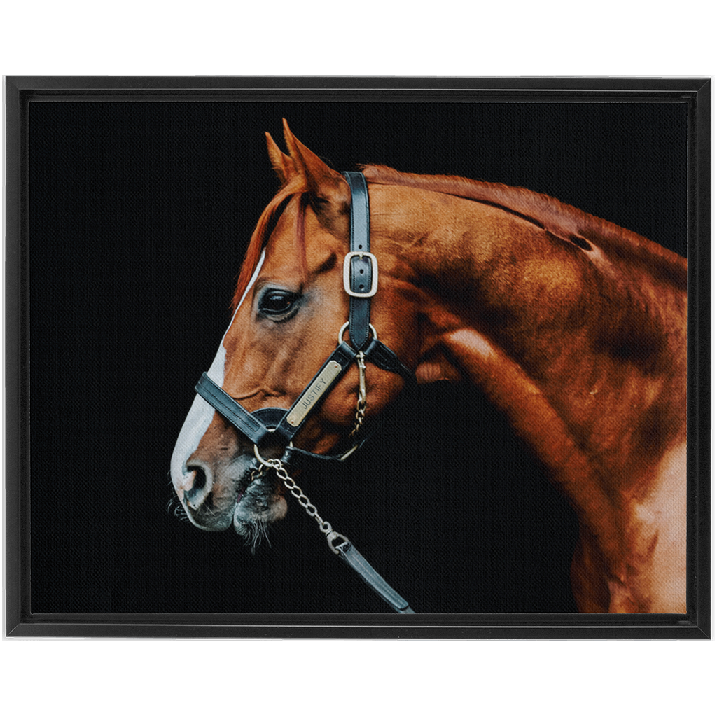 Justify Series 3, Framed Canvas