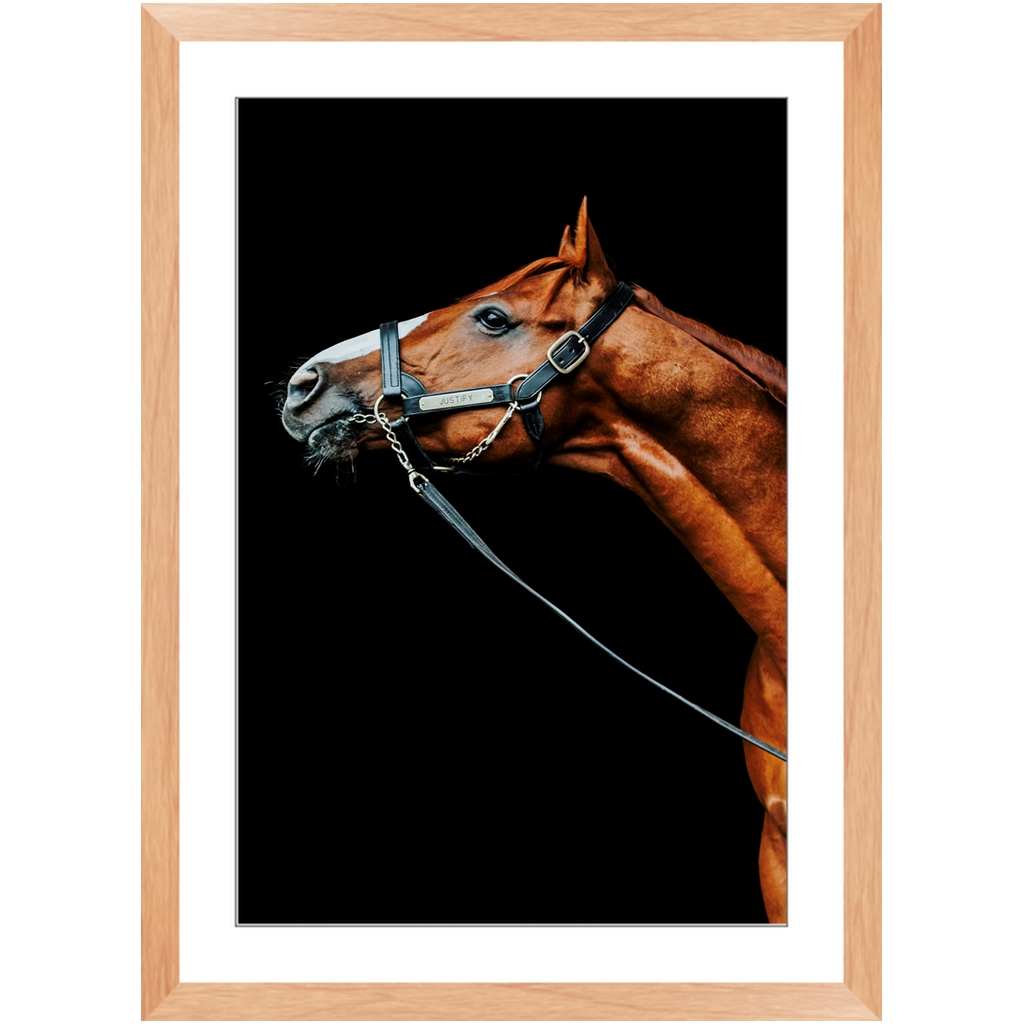 Justify Series 4, Framed Print