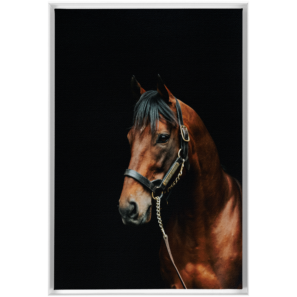 American Pharoah Series 2, Framed Canvas