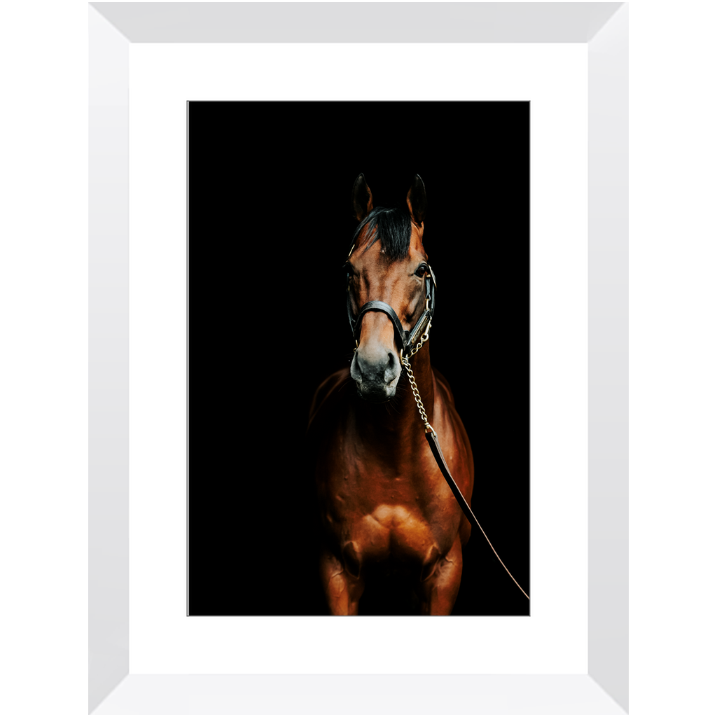 American Pharoah Series 4, Framed Print