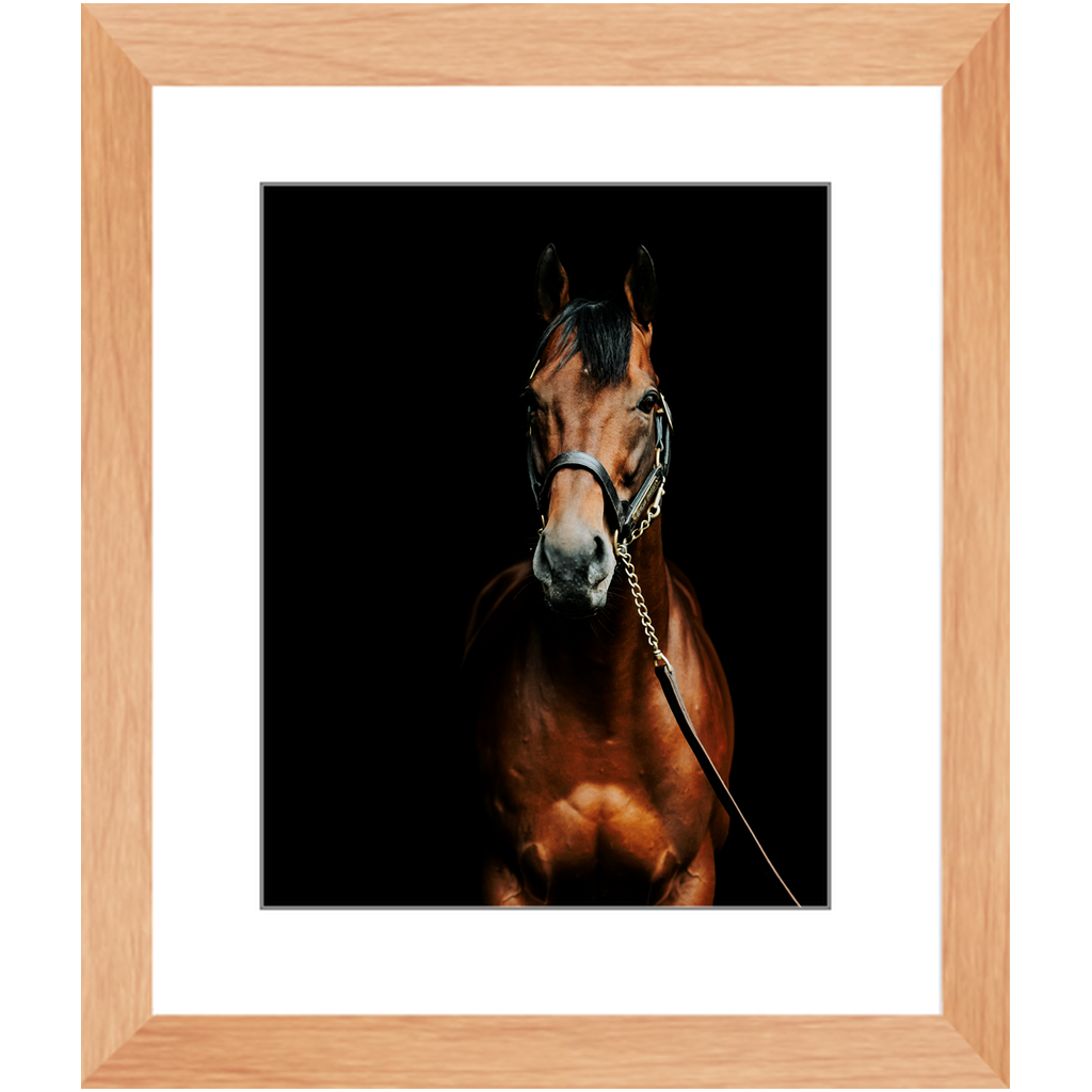 American Pharoah Series 4, Framed Print