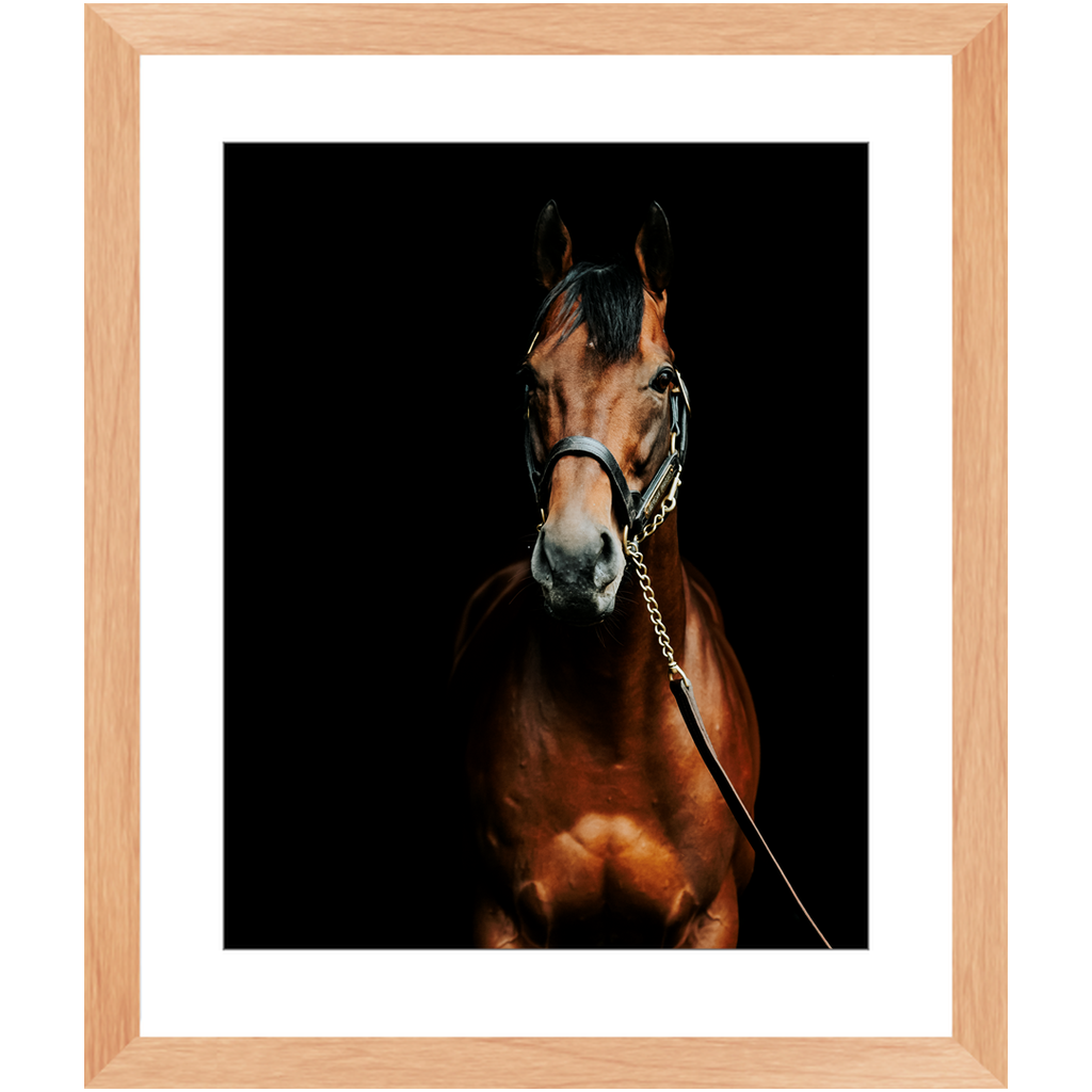 American Pharoah Series 4, Framed Print