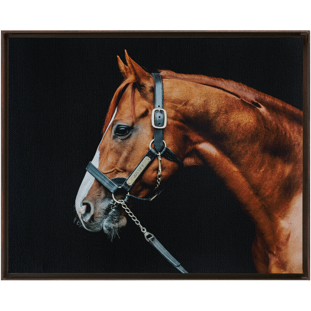 Justify Series 3, Framed Canvas