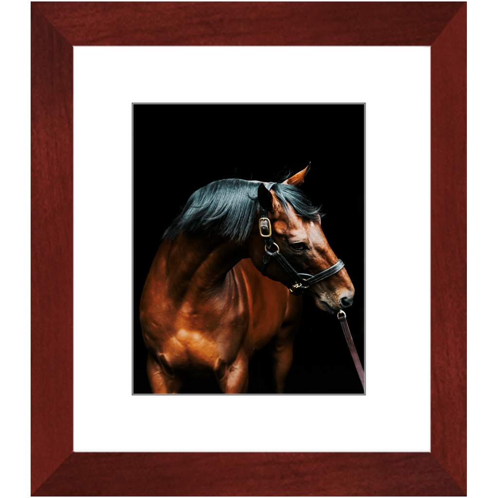 American Pharoah Series 3, Framed Print