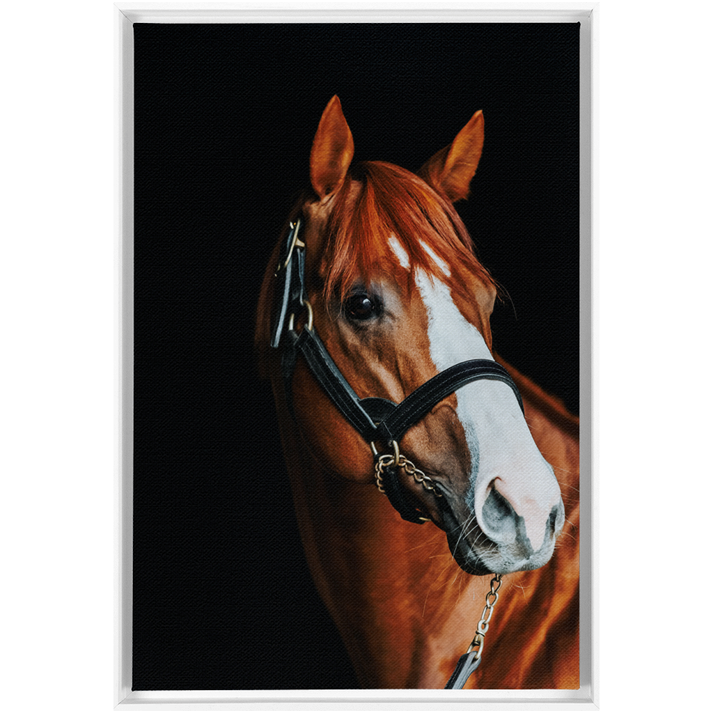 Justify Series 2, Framed Canvas