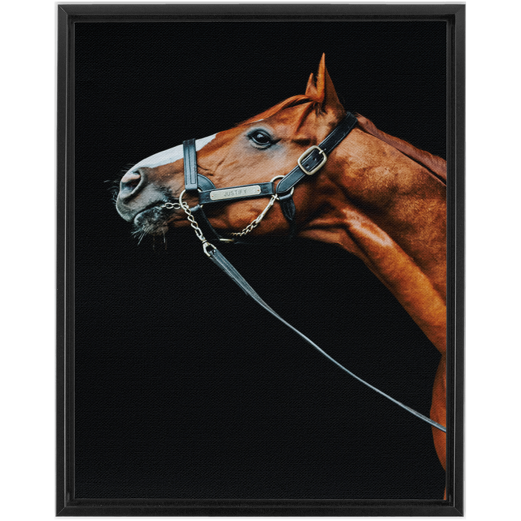 Justify Series 4, Framed Canvas