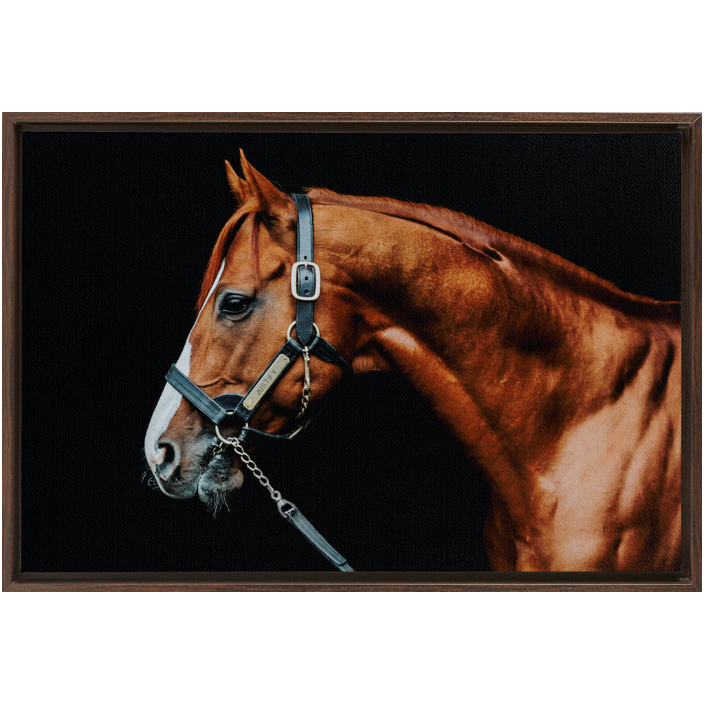 Justify Series 3, Framed Canvas