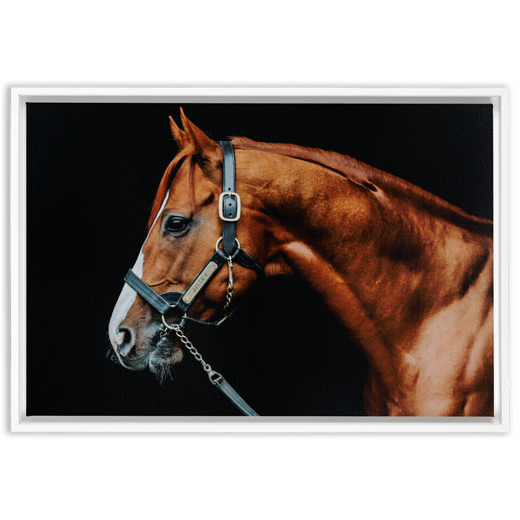 Justify Series 3, Framed Canvas