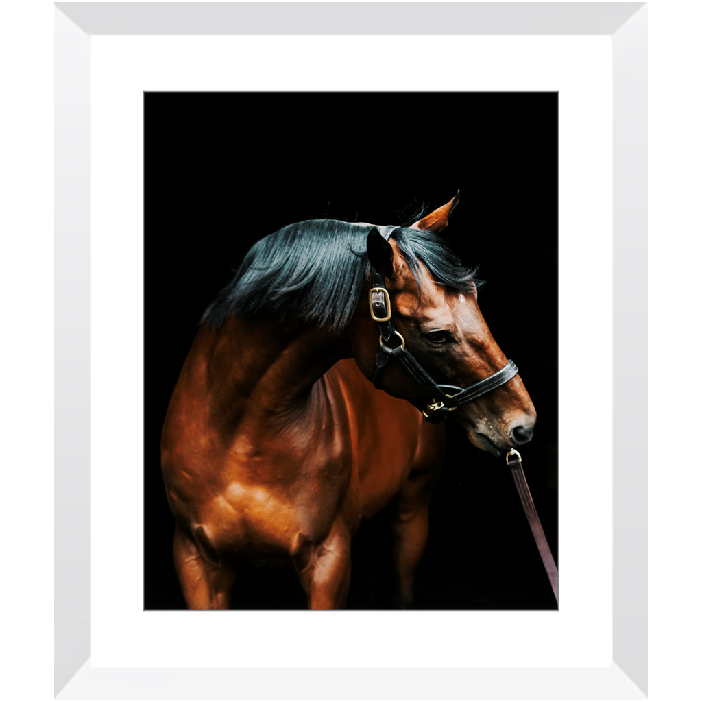 American Pharoah Series 3, Framed Print