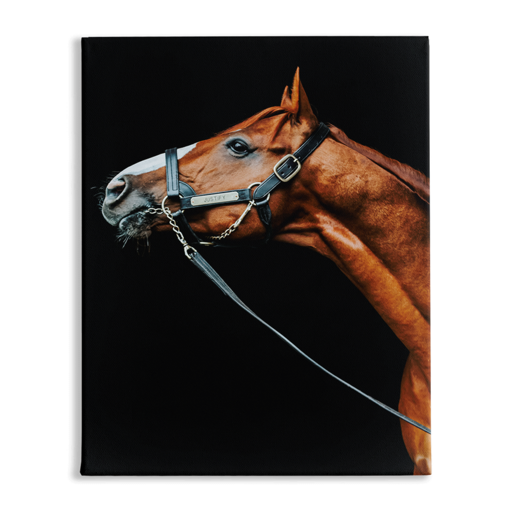 Justify Series 4, Stretched Canvas