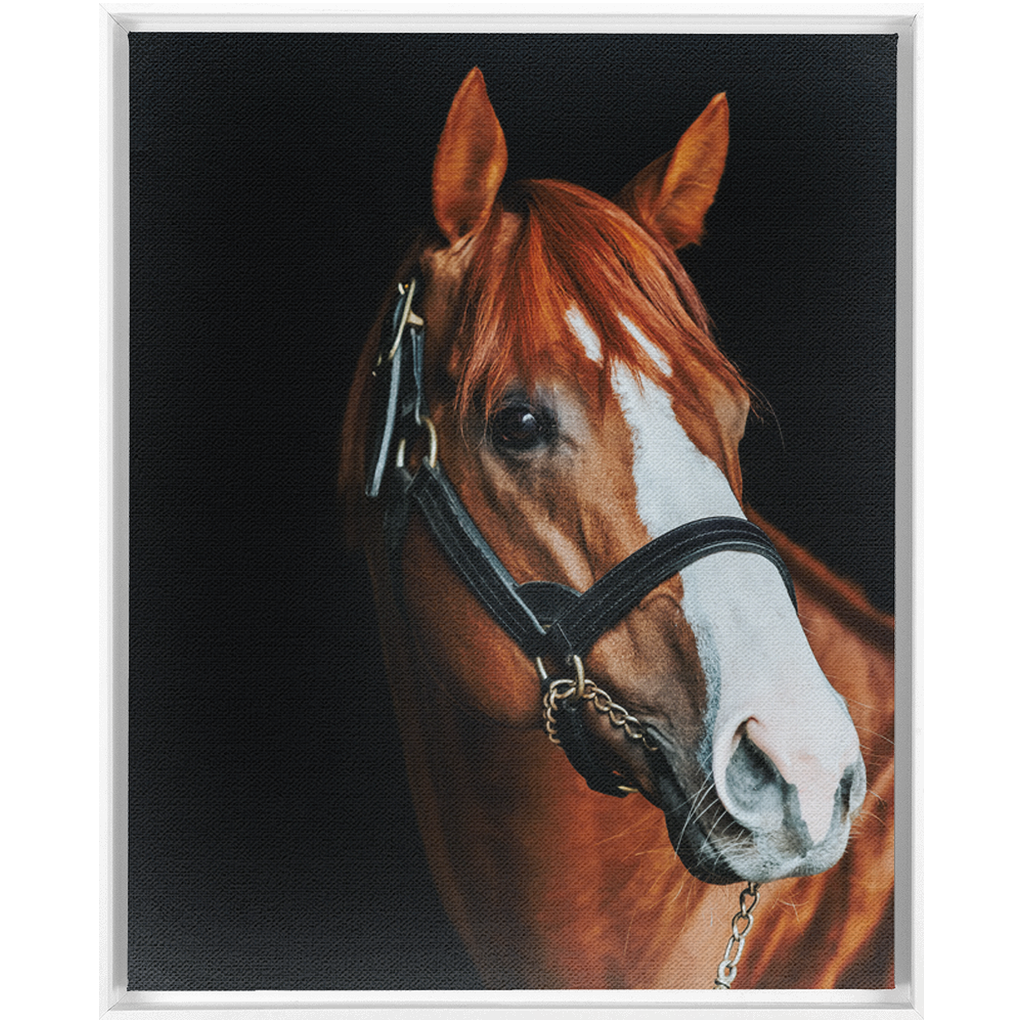 Justify Series 2, Framed Canvas