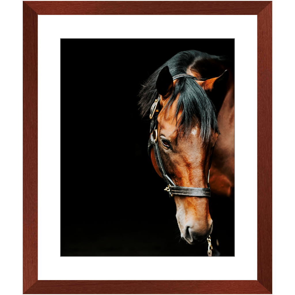 American Pharoah Series 6, Framed Print