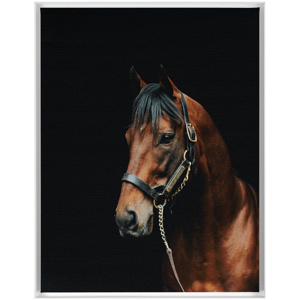 American Pharoah Series 2, Framed Canvas