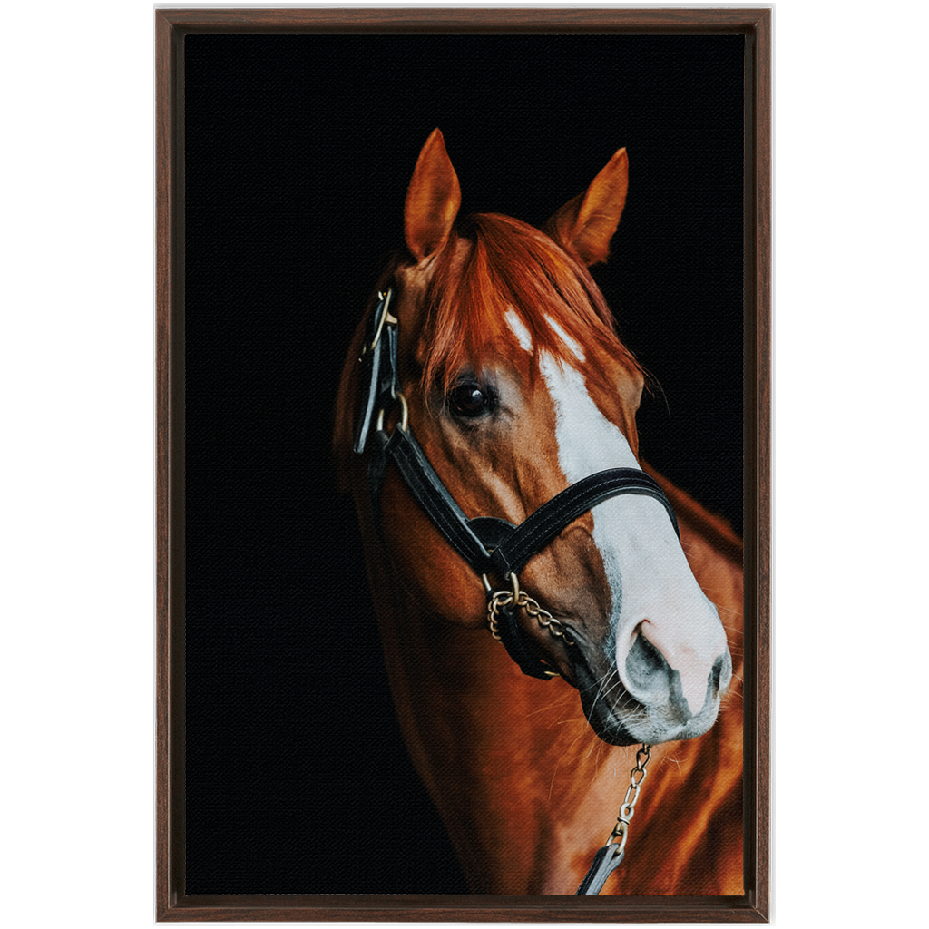 Justify Series 2, Framed Canvas