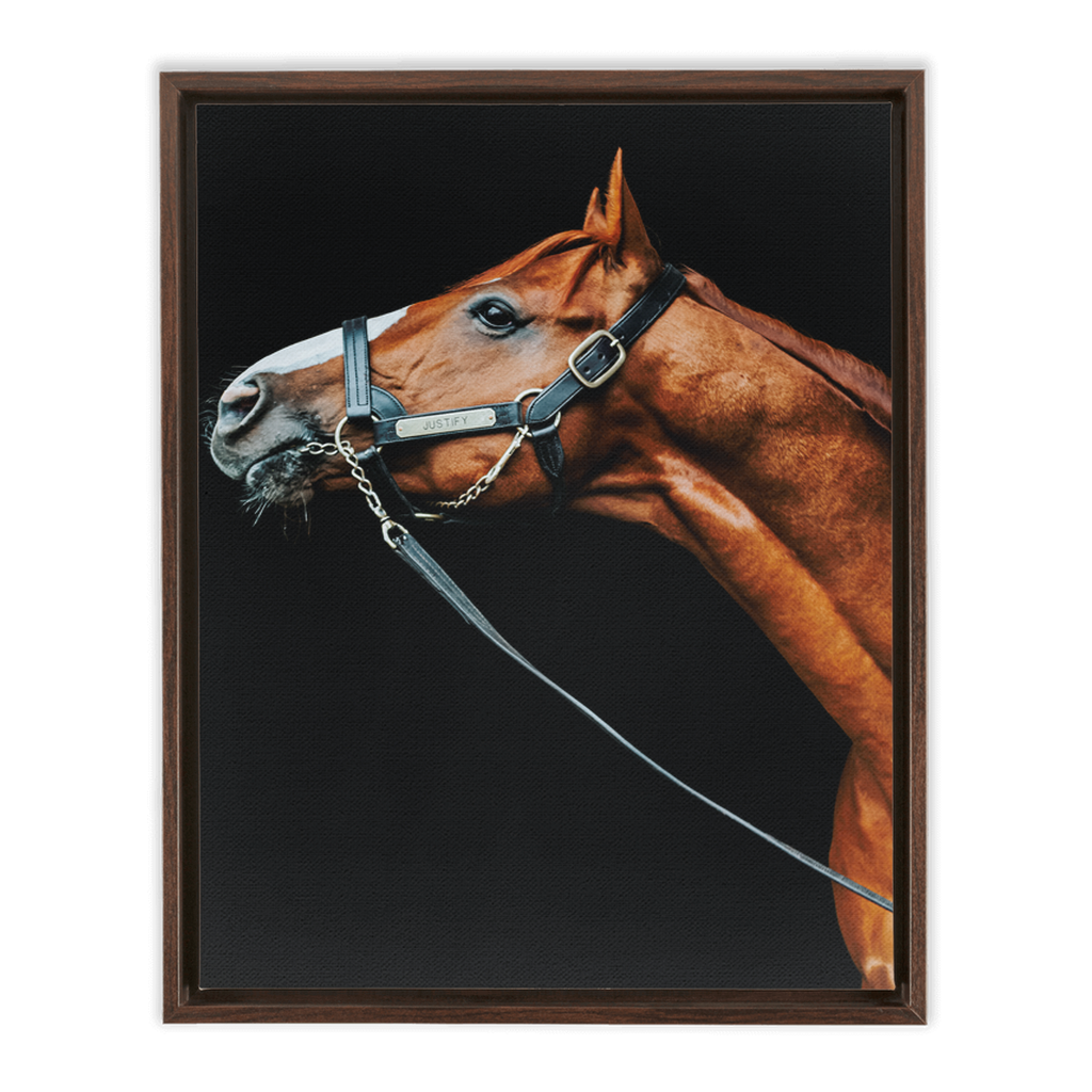 Justify Series 4, Framed Canvas