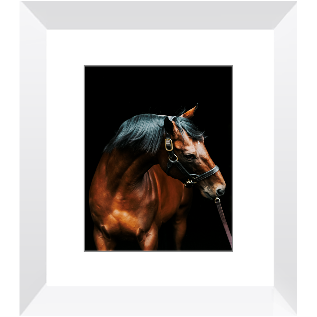 American Pharoah Series 3, Framed Print