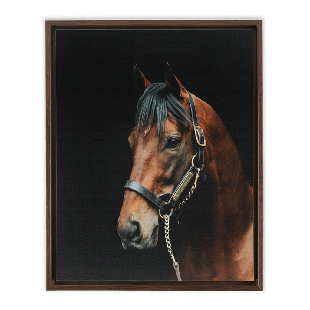 American Pharoah Series 2, Framed Canvas