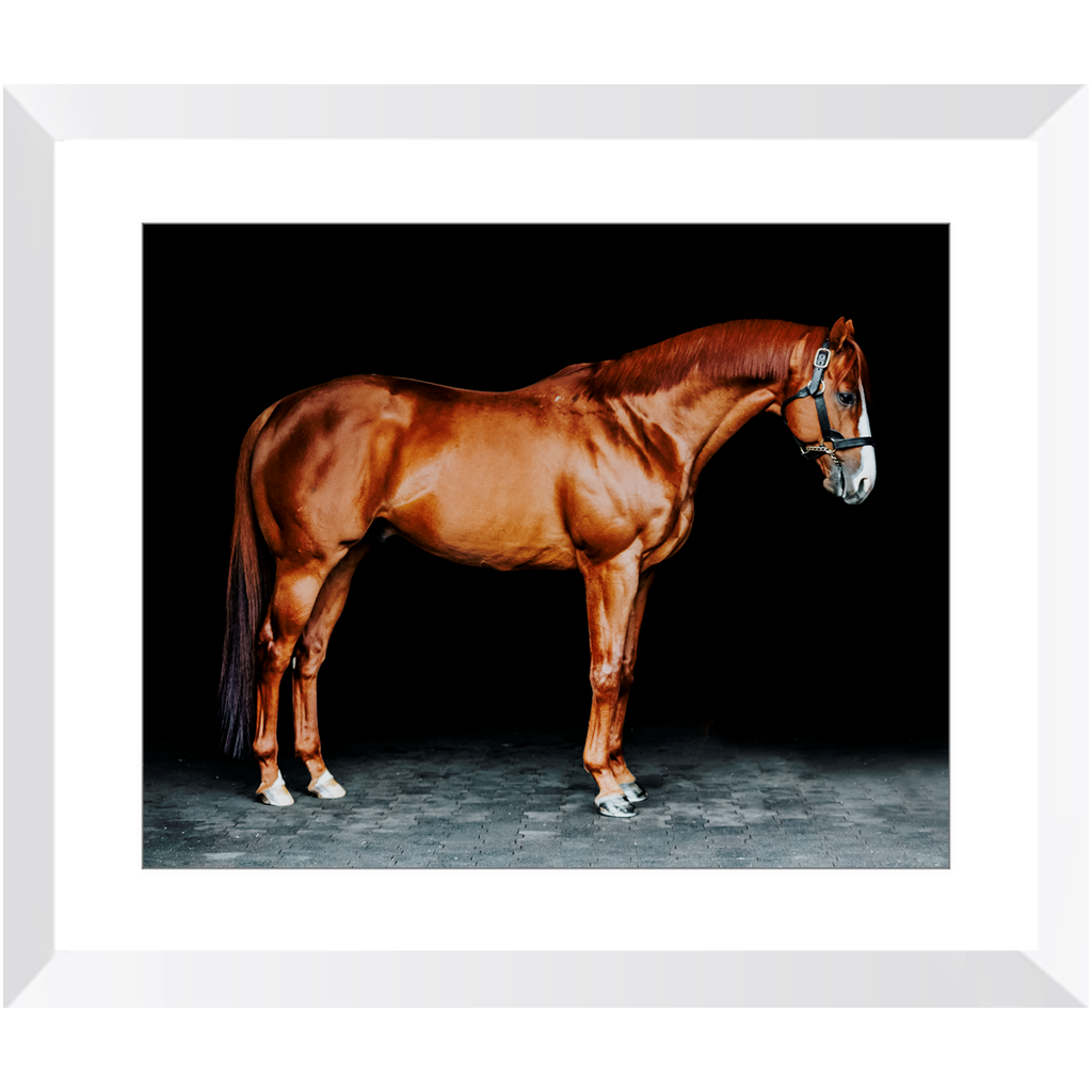 Justify Series 6, Framed Print