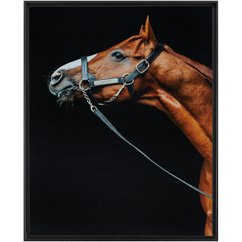 Justify Series 4, Framed Canvas