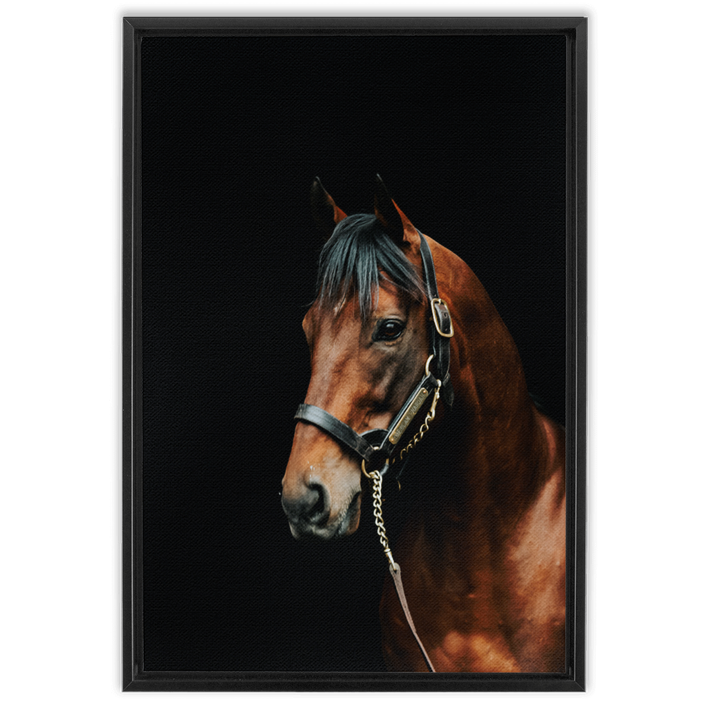 American Pharoah Series 2, Framed Canvas