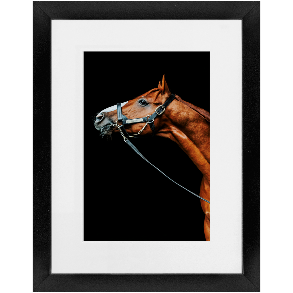 Justify Series 4, Framed Print