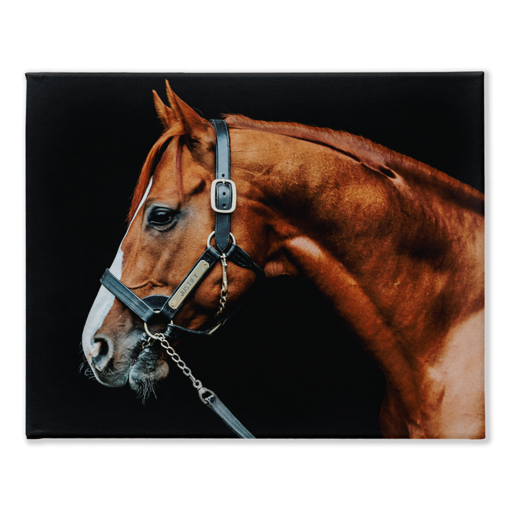 Justify Series 3, Stretched Canvas