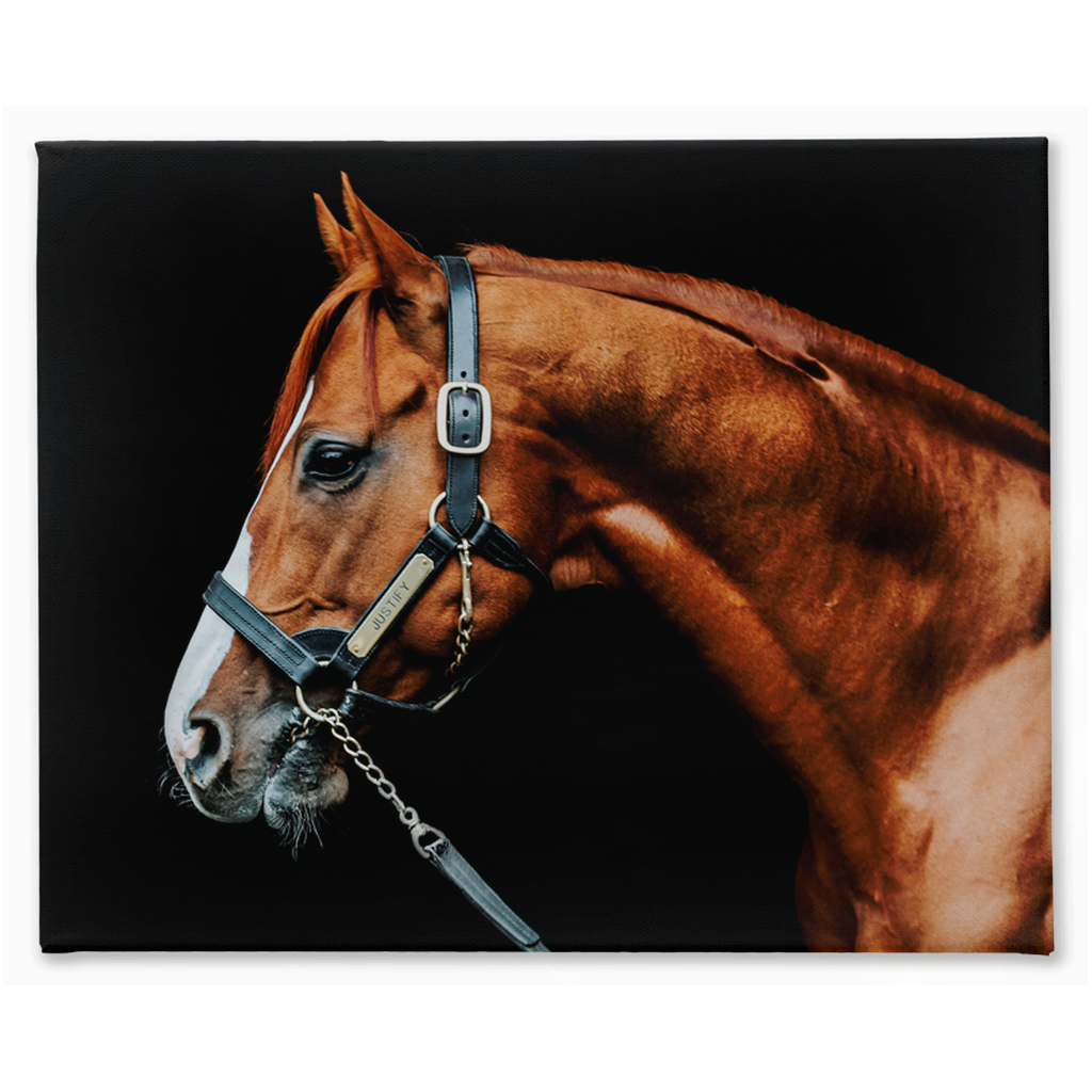 Justify Series 3, Stretched Canvas