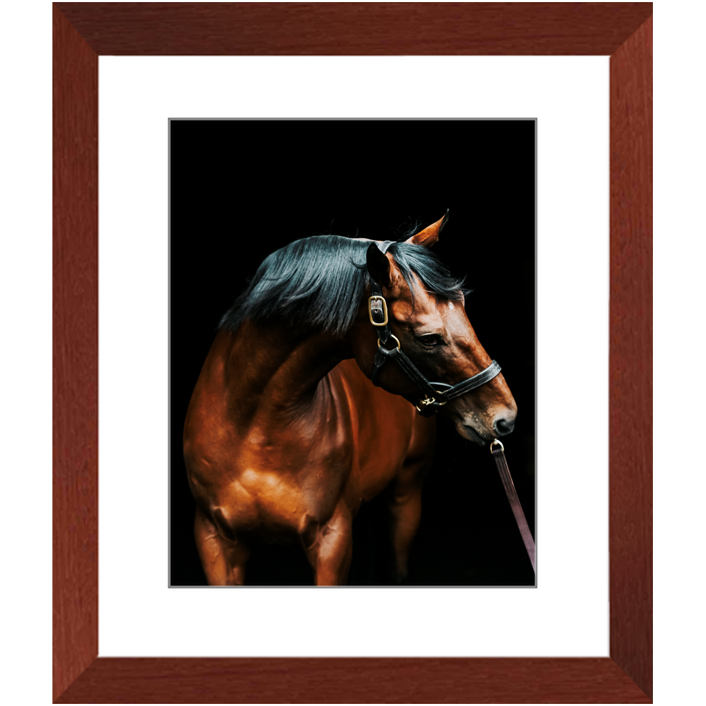 American Pharoah Series 3, Framed Print