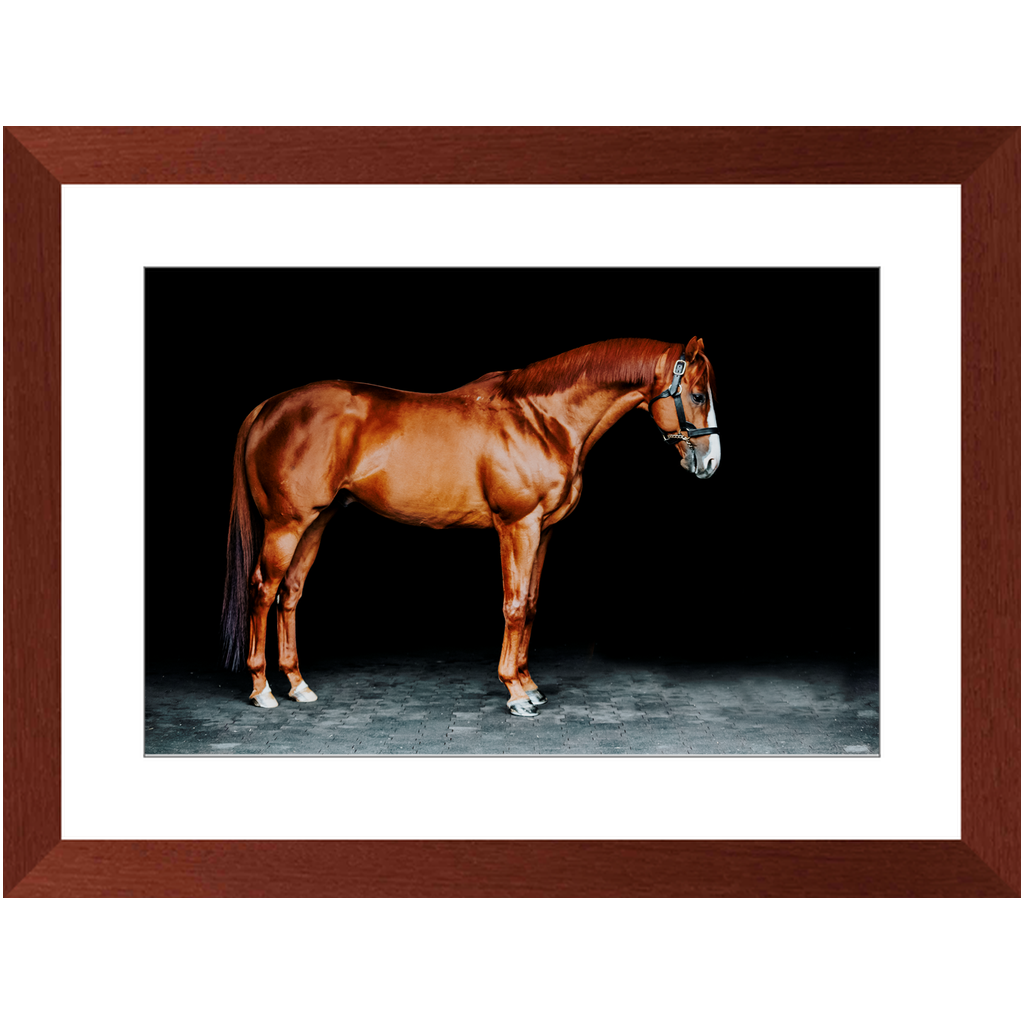 Justify Series 6, Framed Print