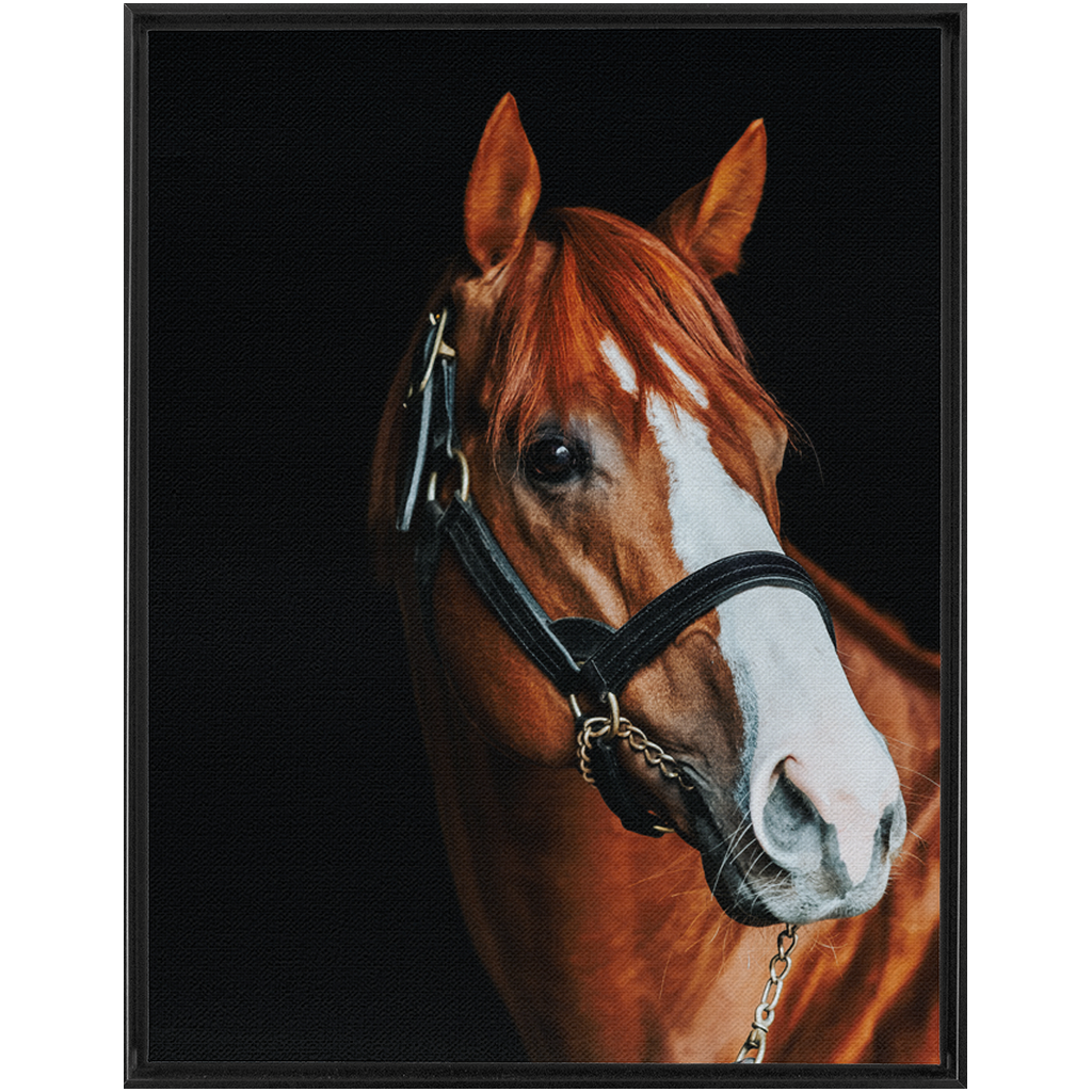 Justify Series 2, Framed Canvas