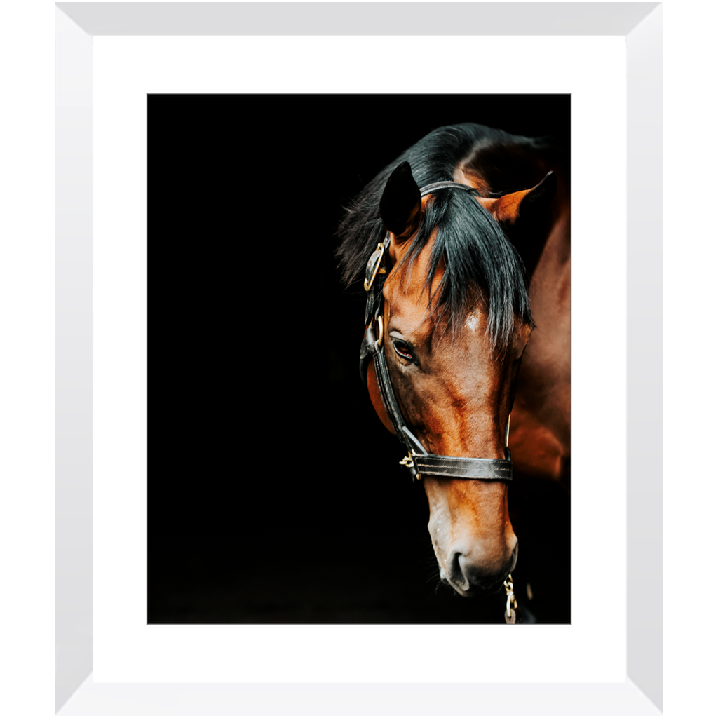 American Pharoah Series 6, Framed Print