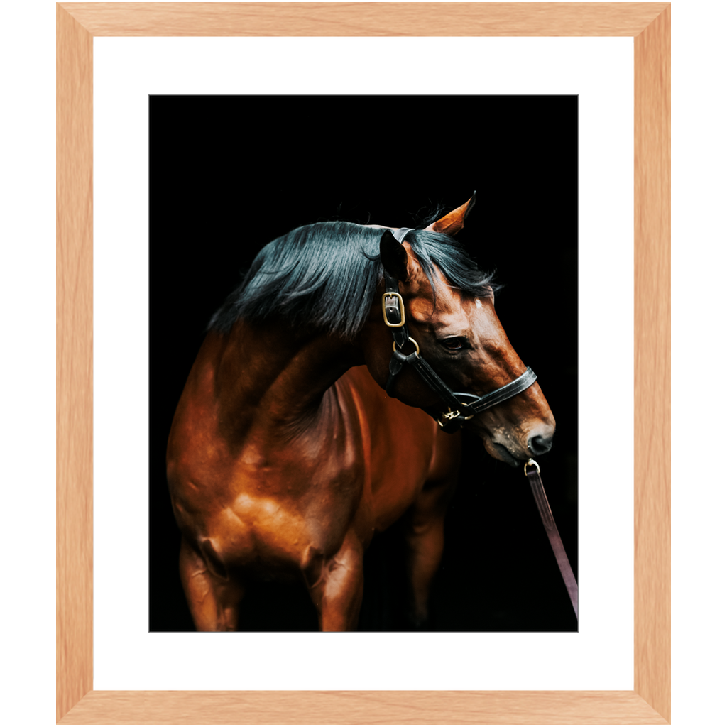 American Pharoah Series 3, Framed Print