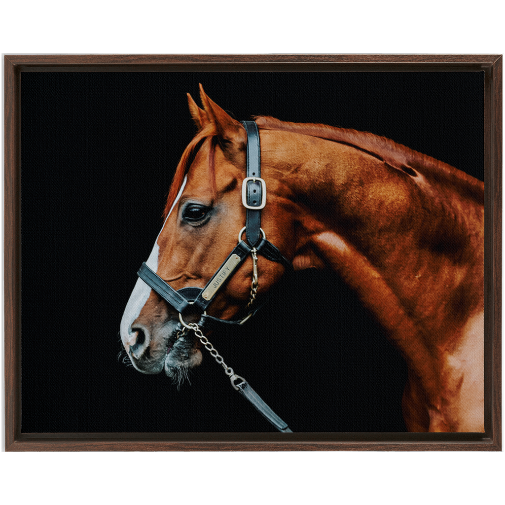 Justify Series 3, Framed Canvas